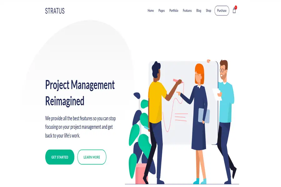 saas wordpress theme