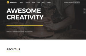 Brando Responsive and Multipurpose OnePage WordPress Theme