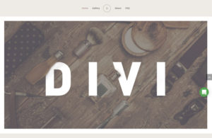 Divi
