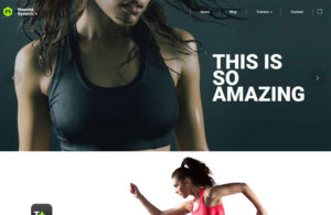 Massive-Dynamic-popular-Wordpress-themes