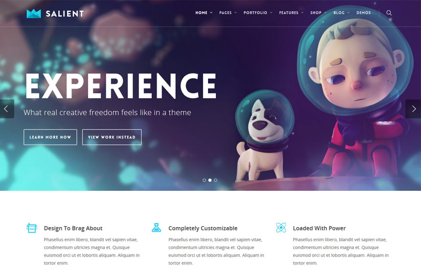 Salient -Most-Popular-WordPress-Themes