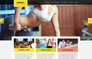 WordPress Fitness Themes