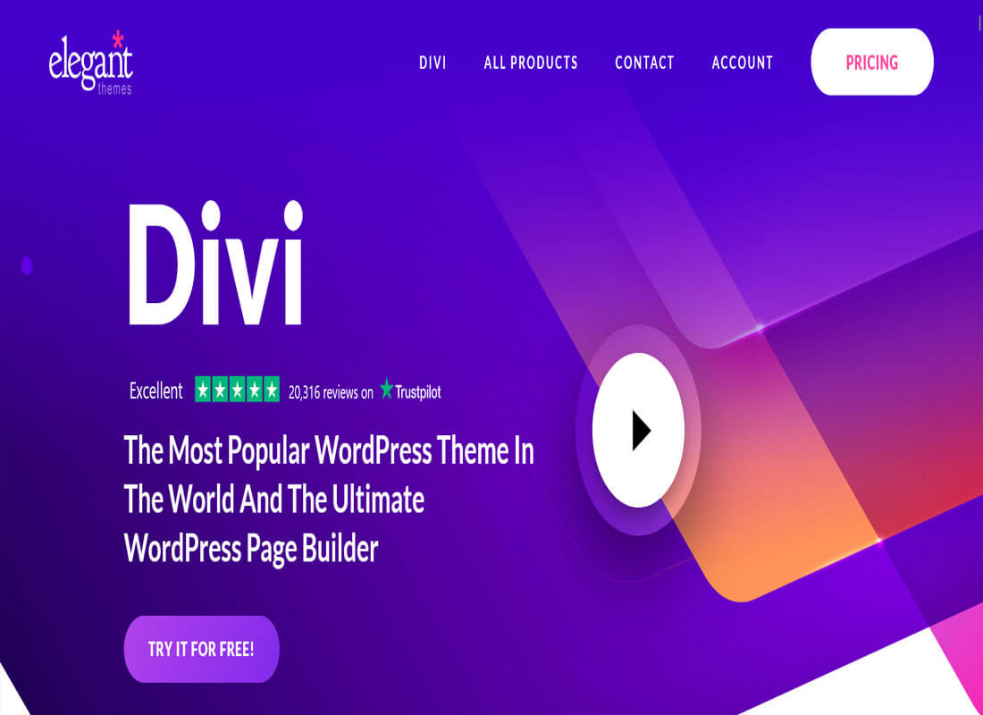 Most Popular and Best WordPress Themes in 2024 (Expert Pick)