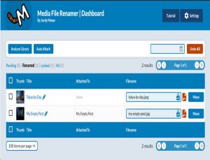 Media File Renamer