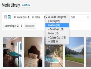 Media Library Organizer