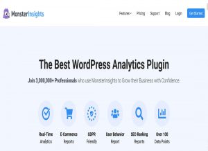 MonsterInsights