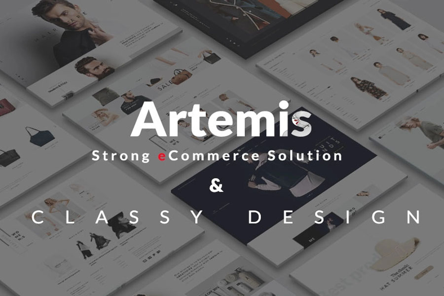 Artemis woocommerce themes