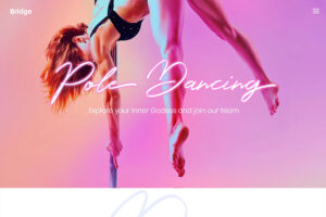 Bridge - Modern multipurpose WordPress theme