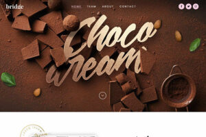 Bridge - Single Product WordPress Theme