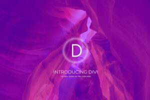 Divi best creative wordpress themes