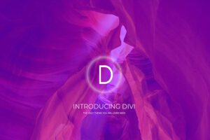 Divi single product woocommerce theme