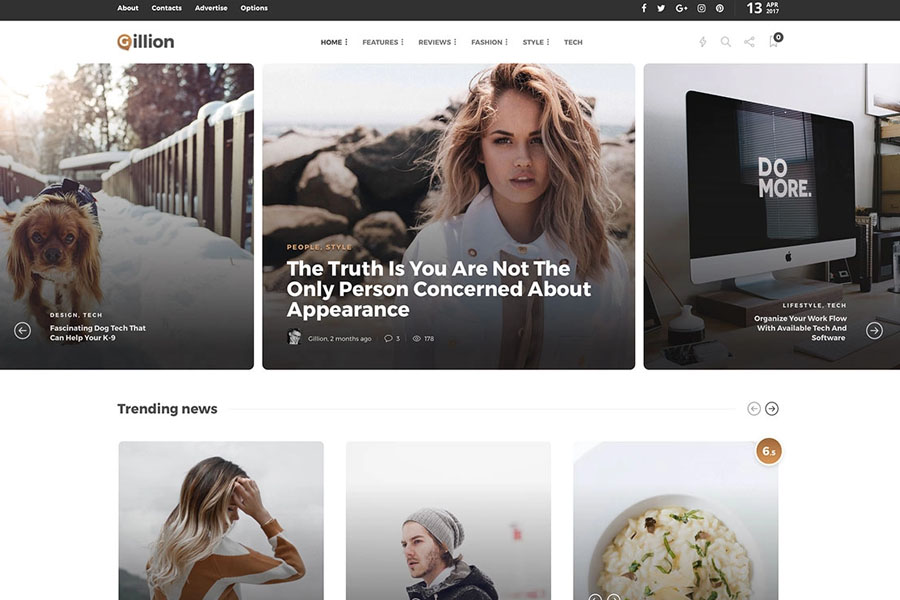 Gillion best mobile friendly wordpress themes