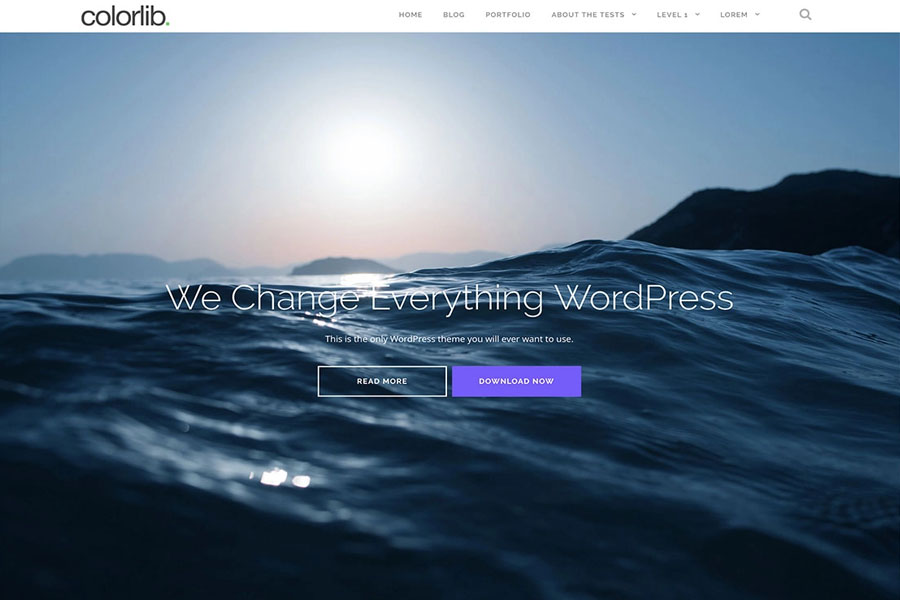 Shapely Free Landing Page WordPress Themes
