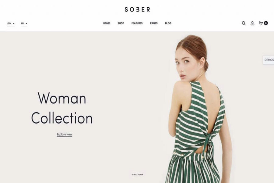 Sober best fashion ecommerce wordpress themes