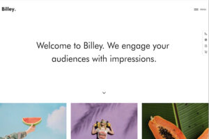 billey creative wordpress theme