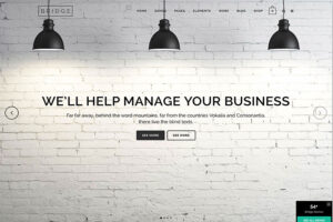 bridge expressive multipurpose business theme