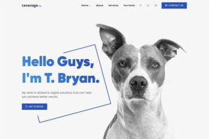 leverage creative wordpress theme