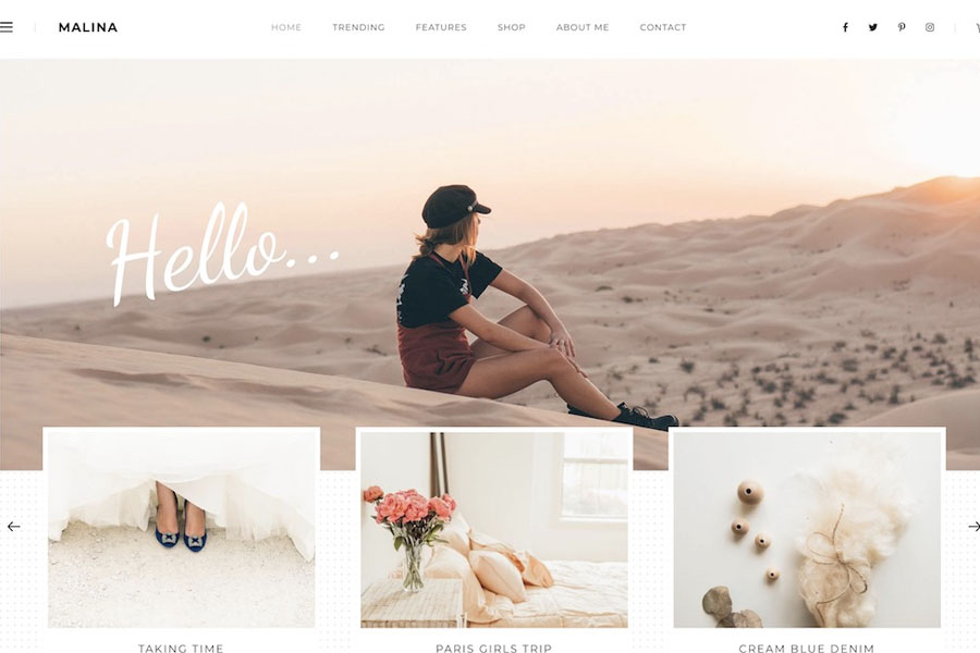 malina wordpress theme with slider