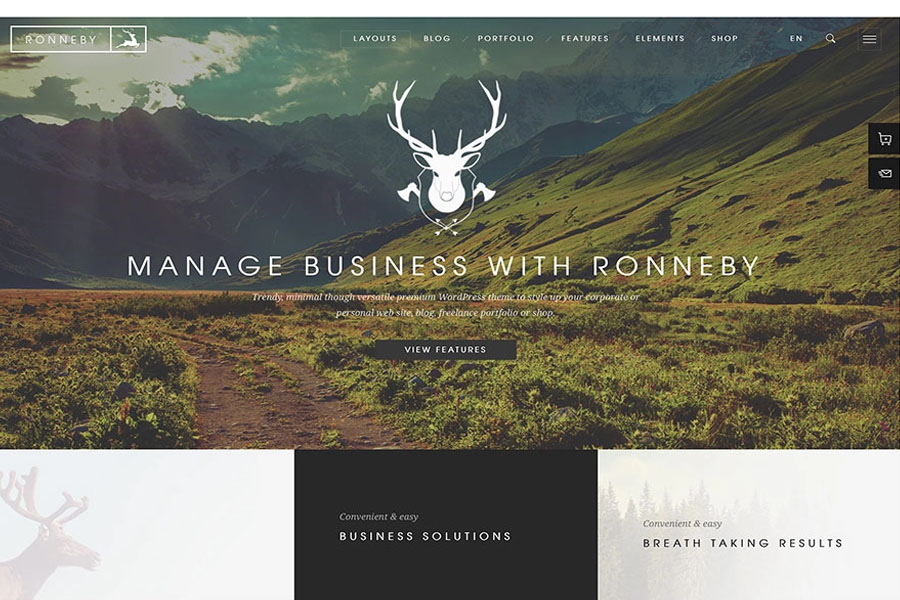 ronneby-multipurpose-wordpress-theme