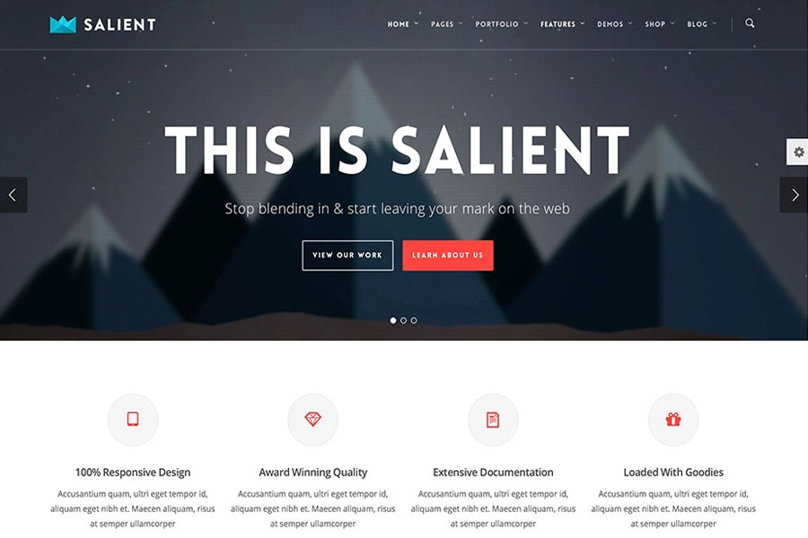 salient popular theme for static sites