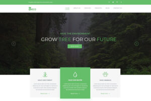 Beco website mockups