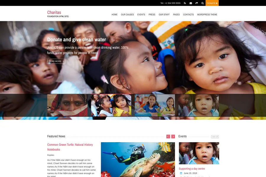 Charitas - NPO website template