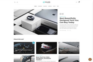 Gillion affiliate wordpress theme