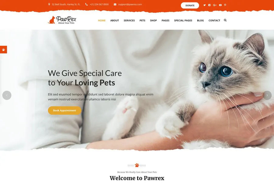 Pawrex - pet adaption ngo website template