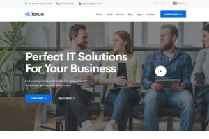 Torun react Next.js IT Services Company Templatee