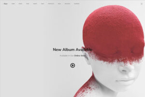 kayo parallax wordpress theme