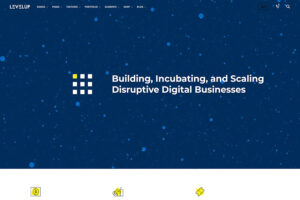 levelup - consulting WordPress theme