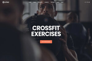 litho parallax wordpress theme