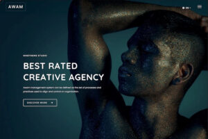 remake parallax wordpress theme