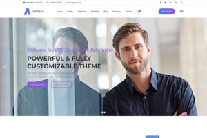 Apress best wordpress templates for business