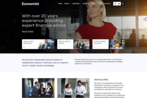 Economist best wordpress themes for business