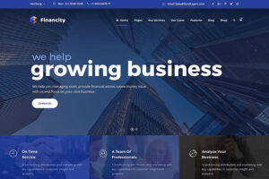 Financity best wordpress themes for business