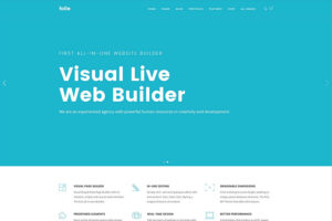 Folie Best Business WordPress Themes