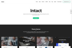 Intact Multipurpose WordPress Themes