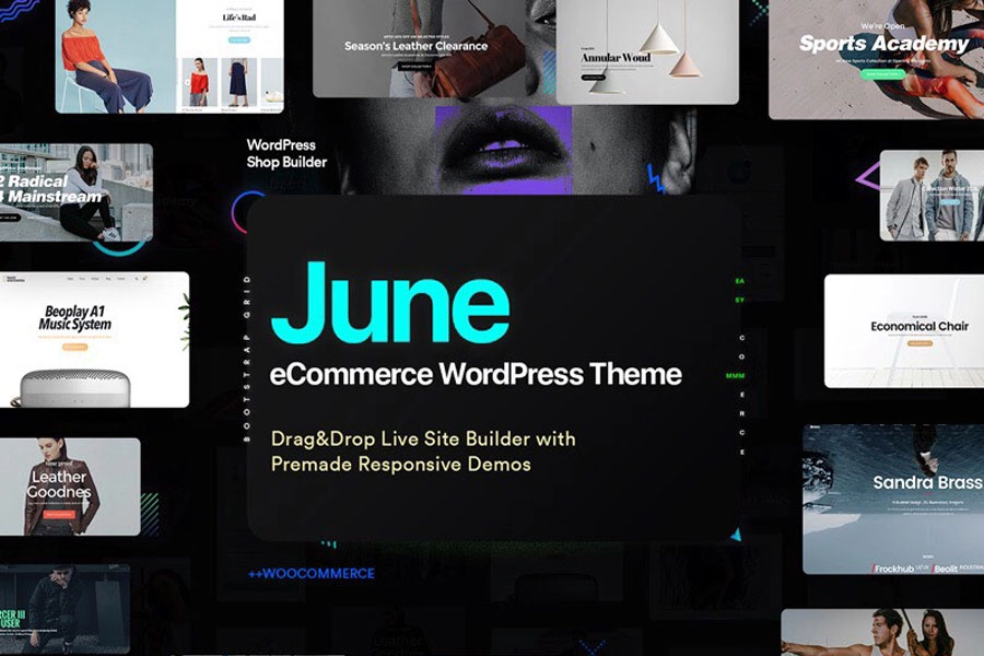 June best ecommerce theme for wordpress