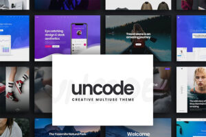WordPress ecommerce theme