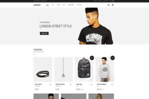 aurum-minimal-ecommerce-wp-theme