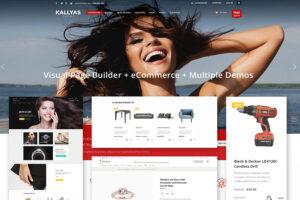 best-ecommerce-wp-themes