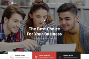 bizix professional wordpress theme