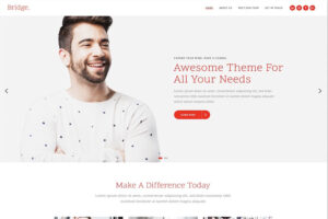bridge best wordpress business theme