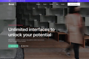 brisk multipurpose wordpress theme