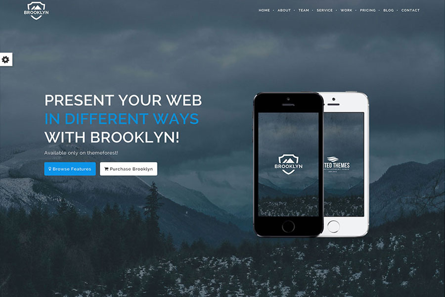 brooklyn-one-page-theme