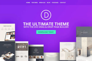 divi popular business theme