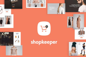 ecommerce WordPress theme
