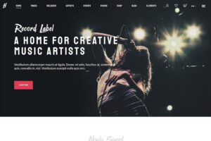 herion wordpress theme for musicians