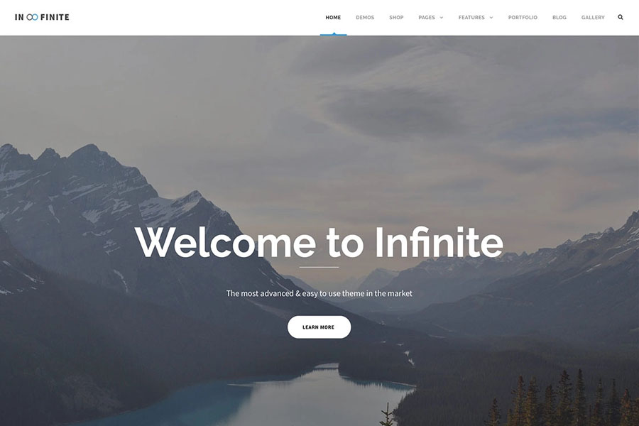 infinite-business-landing-page-website-theme